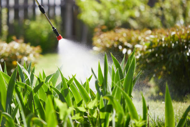 24/7 Emergency Mosquito Control experts in Dixon, KY