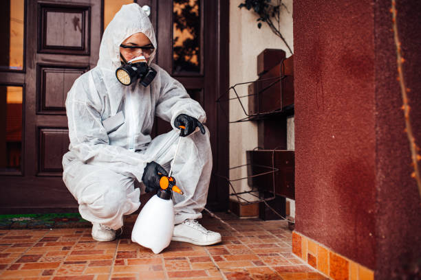 Reliable Mosquito Control contractor in Dixon, KY by Show Me Pest Control